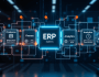 CFOs as Venture Capitalists: Rethinking ERP&nbsp;Strategies